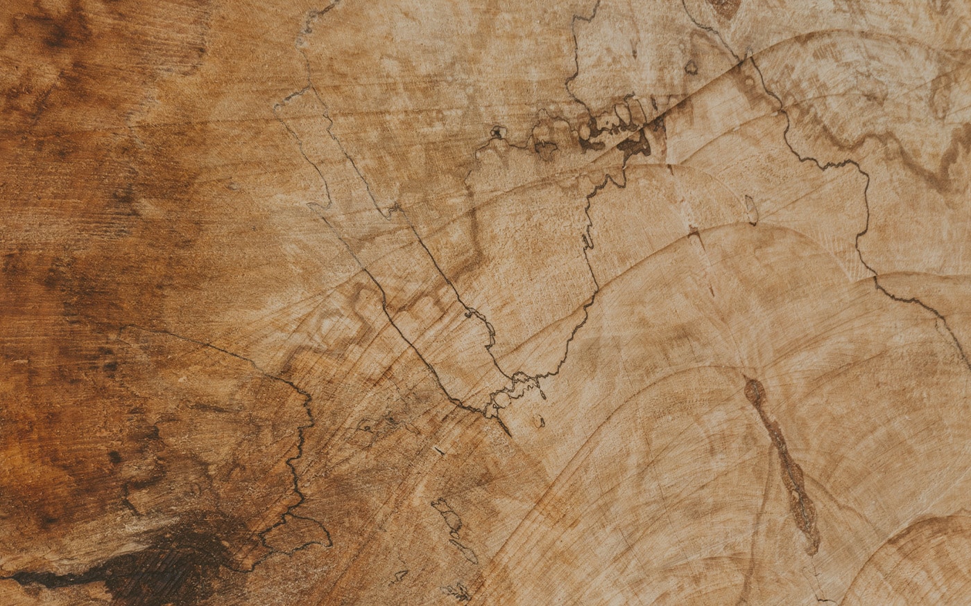 Chambriard - Groupement d'Entrepreneurs