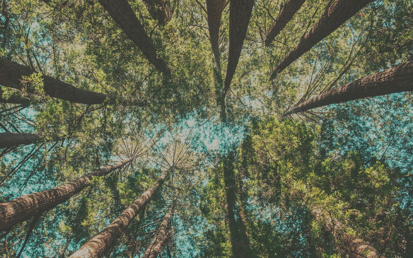 Chambriard - Le groupement en chiffres